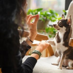 Behavioral Guidance