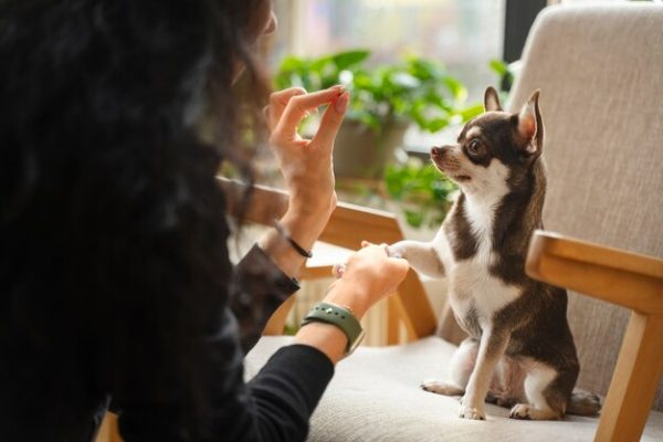 Behavioral Guidance
