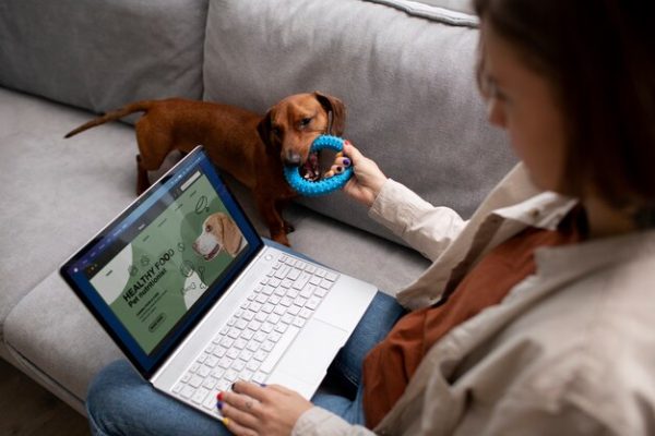 Online Consultations