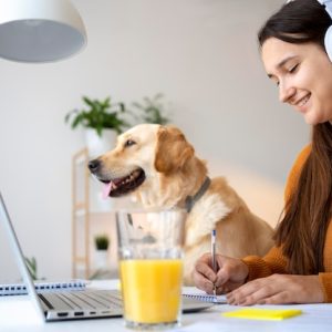 Workshops for Pet Owners