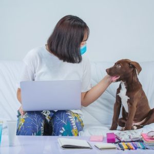 Pet Wellness Plans